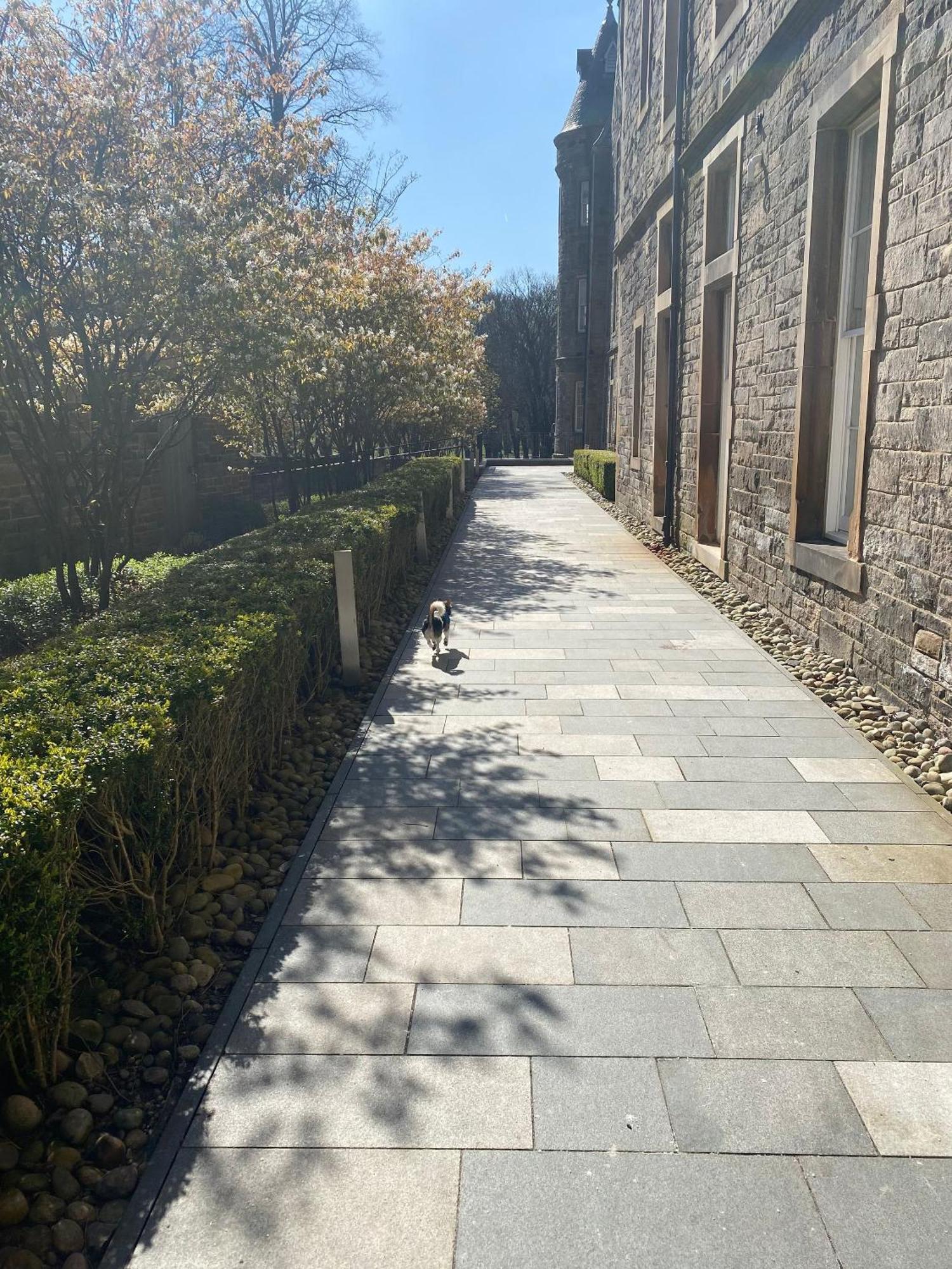 Apartment Spacious One Bed Quartermile With Breathtaking Park Views - V *